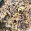 黄精片